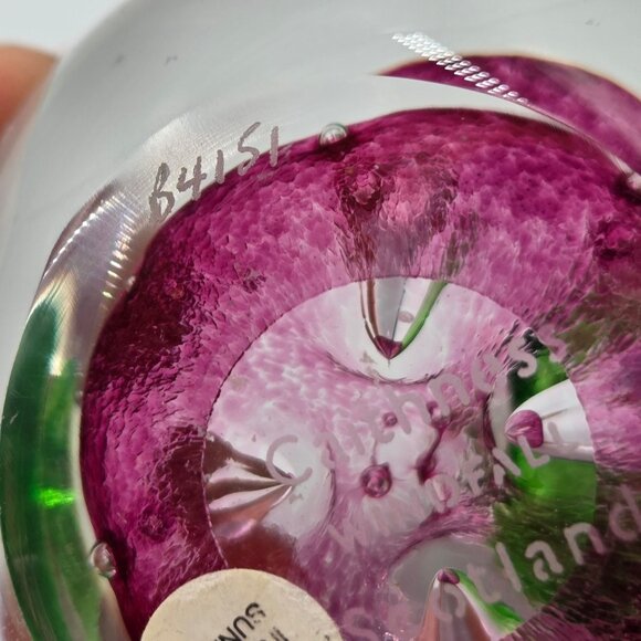 Caithness Glass Windfall Ruby Apple Paperweight Scotland Teacher Nature Decor - Picture 12 of 14